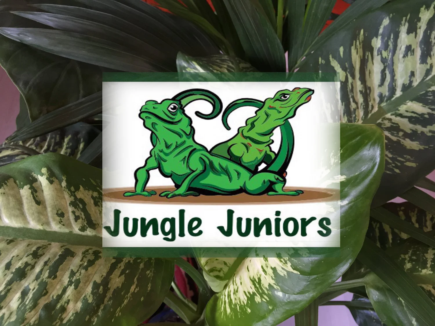 jungle juniors with leaves.jpg