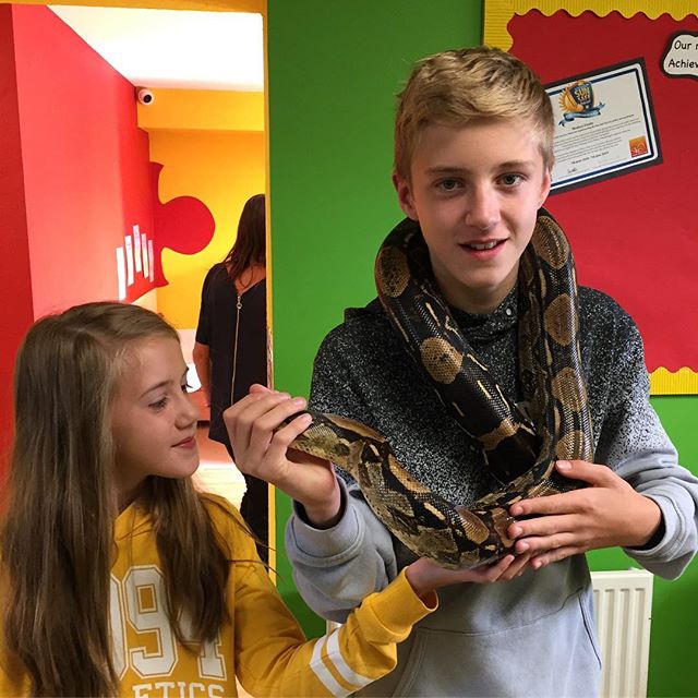 Visiting @monkeypuzzleaylesbury recently for their annual Funday🐍 #junglejuniors #exoticanimalsencounter #schoolvisits #nurseryvisits #opendays #youthcentres #birthdayparties #education #interactive #animalhandling