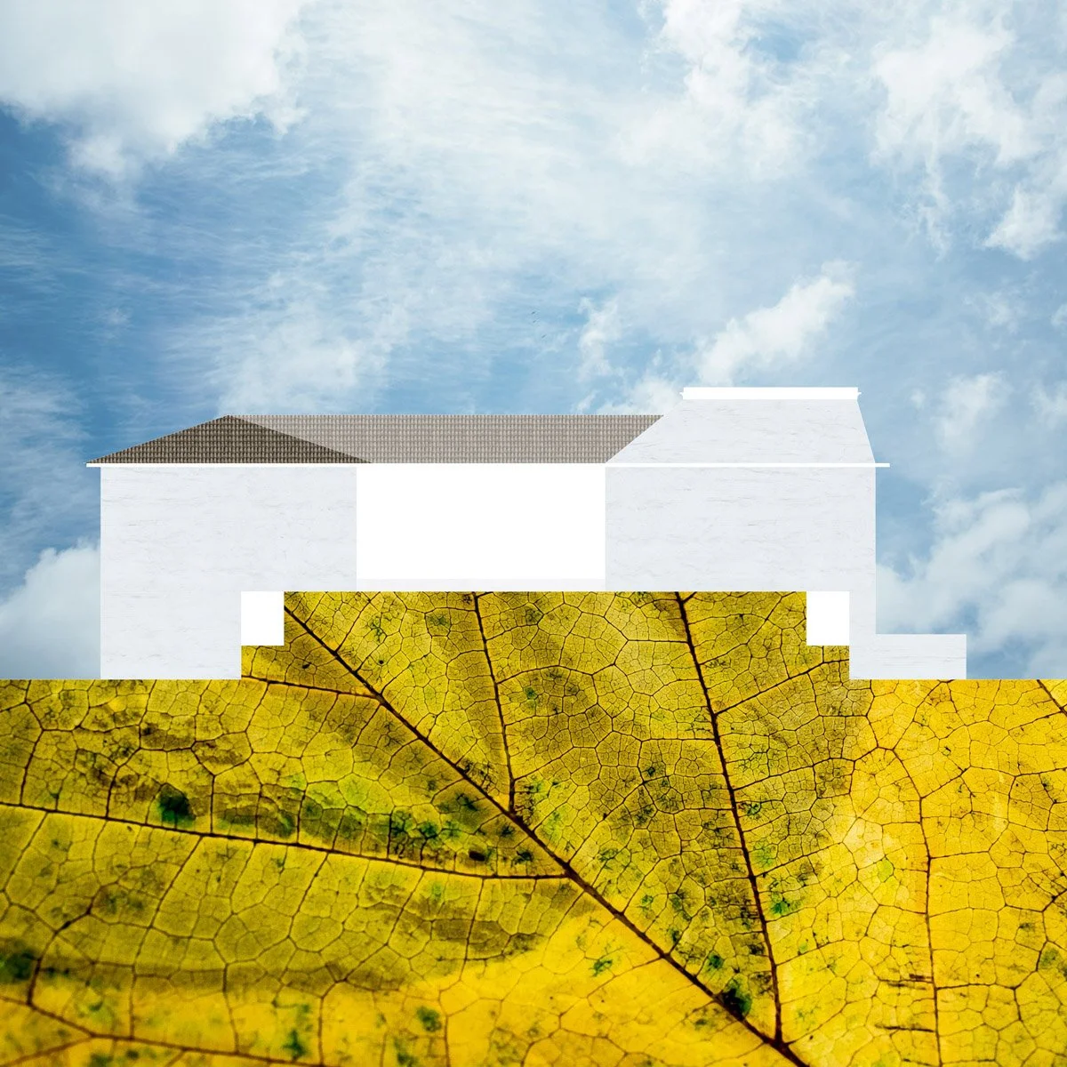 civic centre casa da sobreira_thumbnail 01.jpg