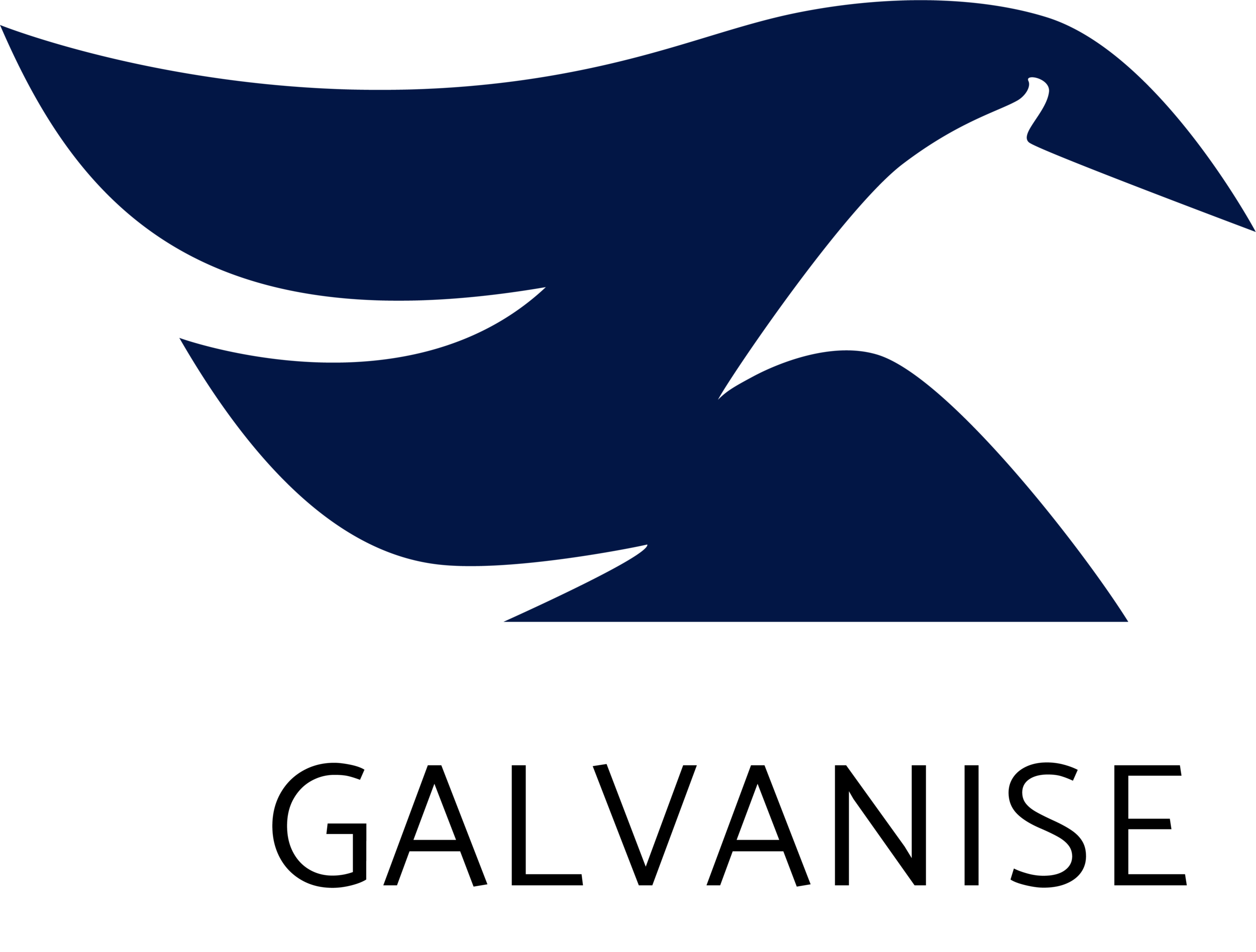 Ref-0037-Final-Galvanise-PrimaryLogo.png