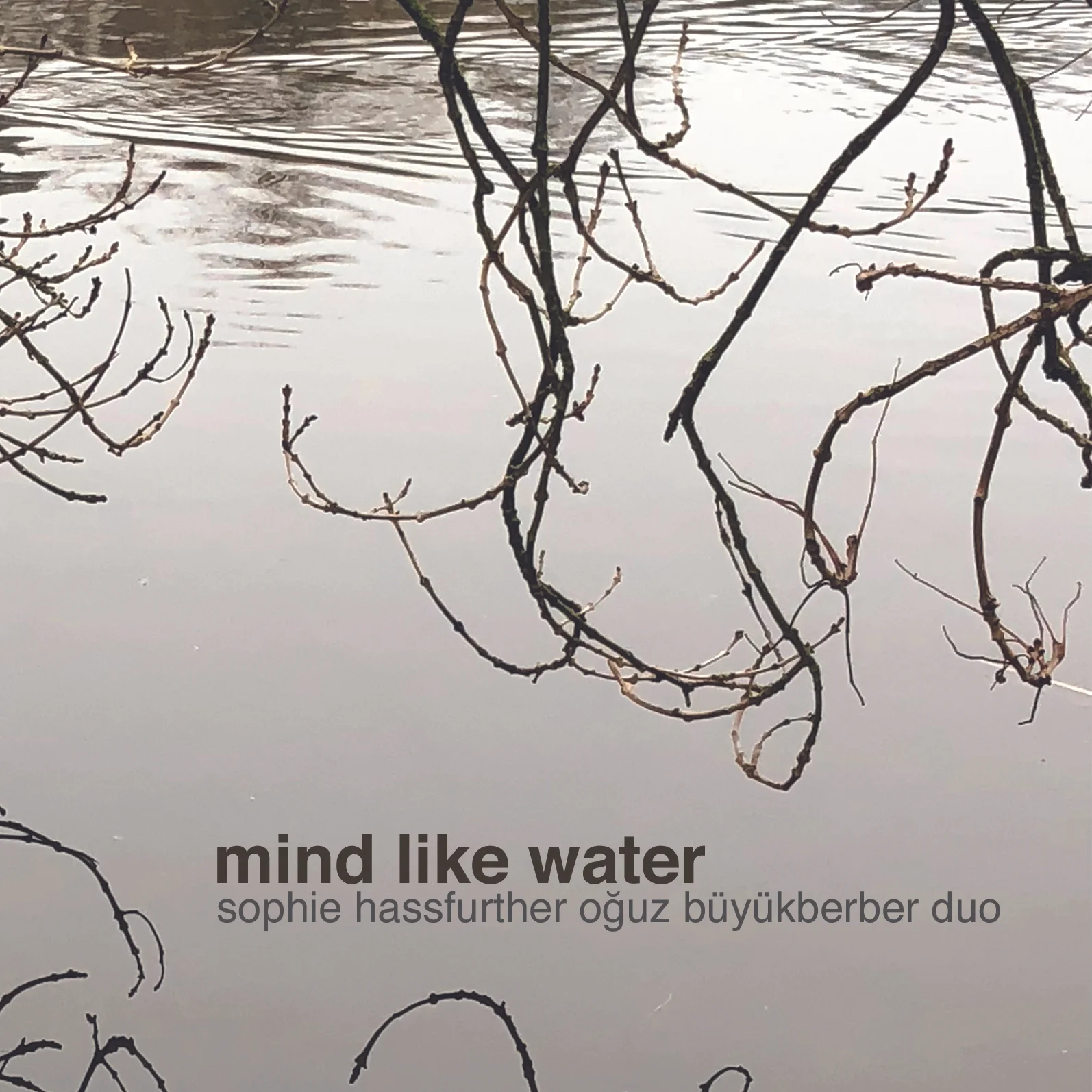 "Mind Like Water" A new Duo Album Sophie Hassfurther and Oğuz Büyükberber