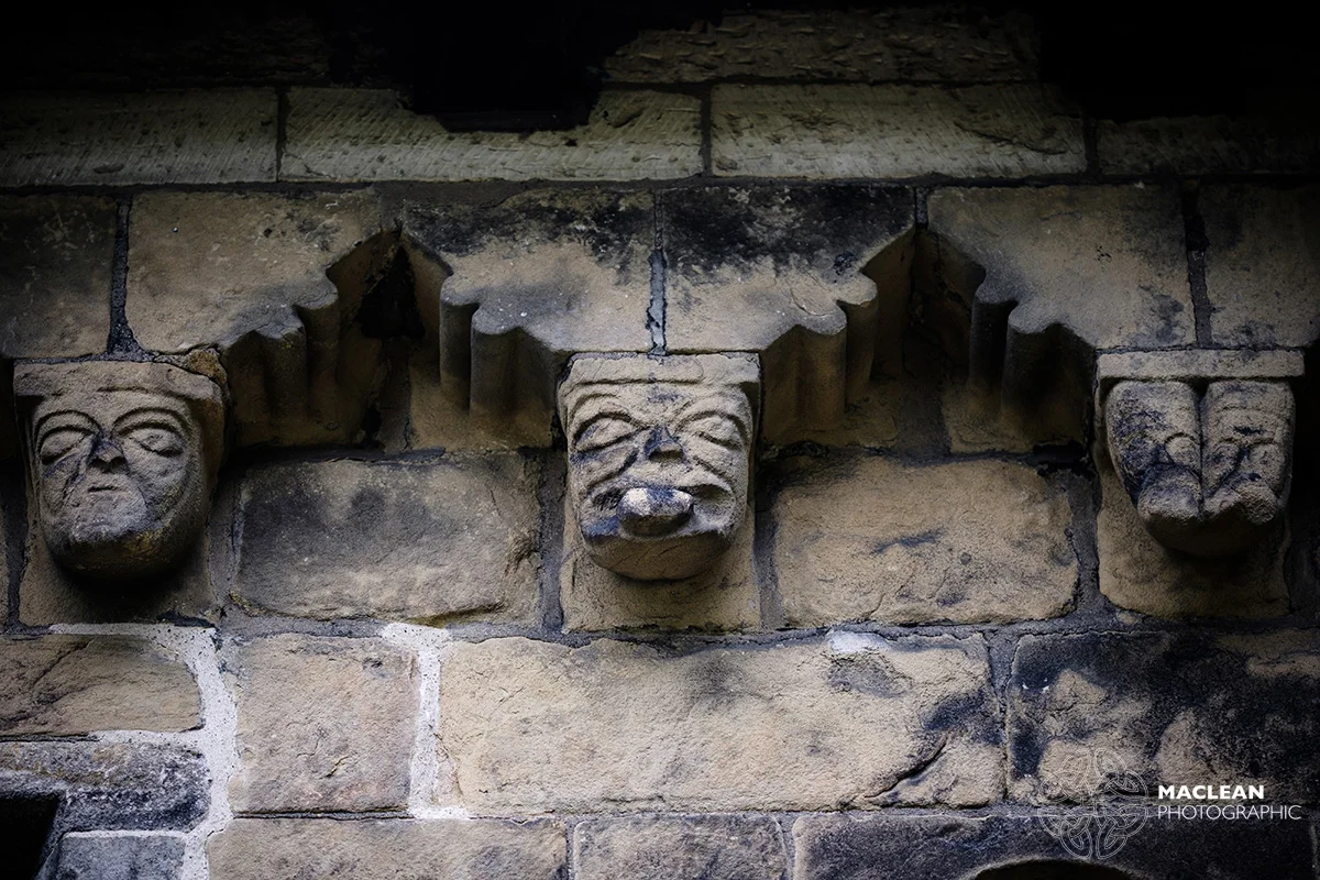 IMAGE 006