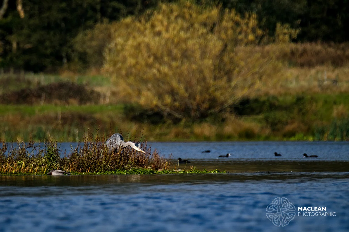 20181020BrockholesXT2-0208_1200_MP.jpg