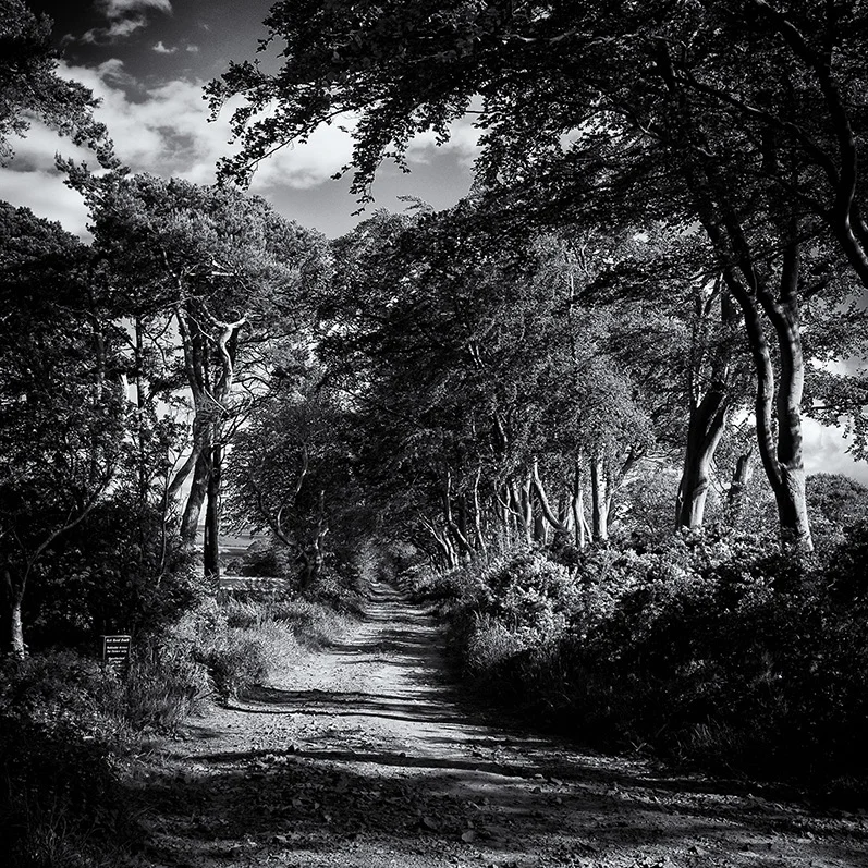 POSTER PRINT: Farm Track at Tyningham