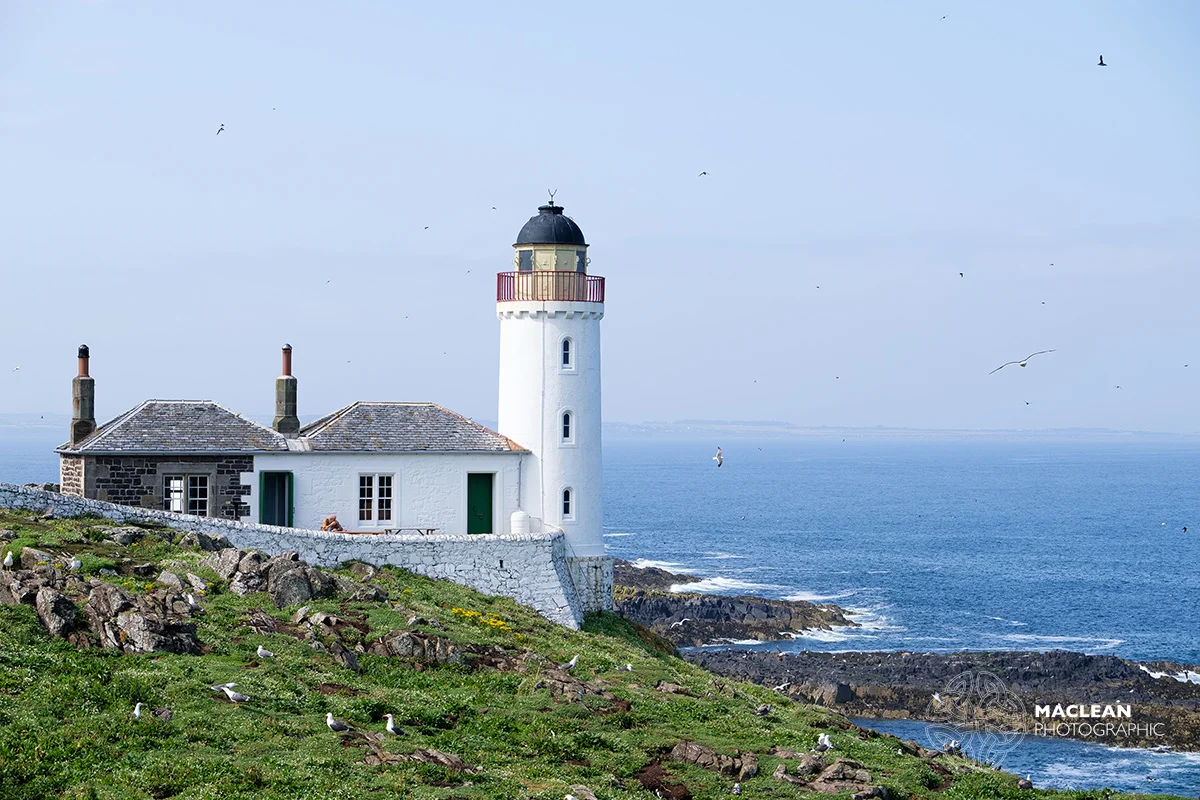 The Isle of May