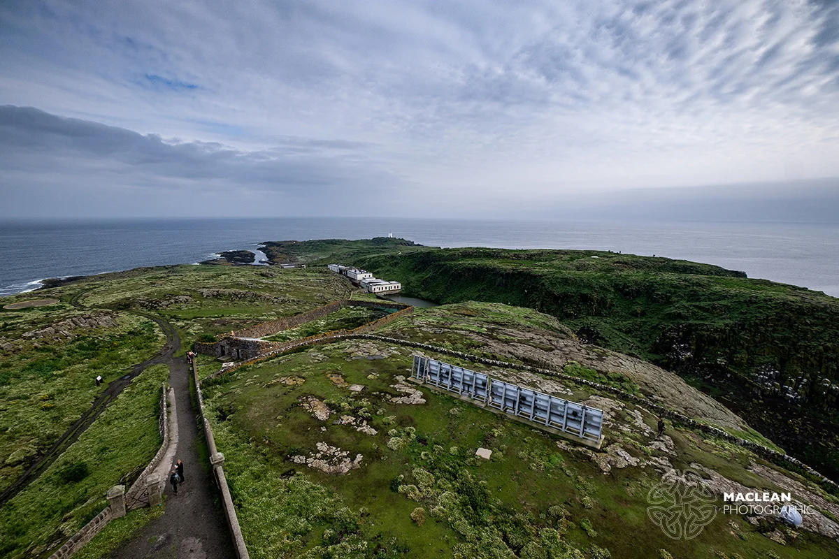 The Isle of May