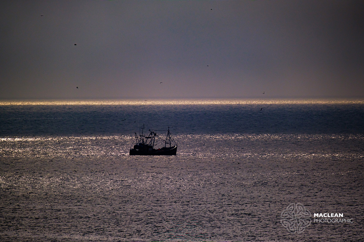 Fishing boat off the coast of the Isle of May
