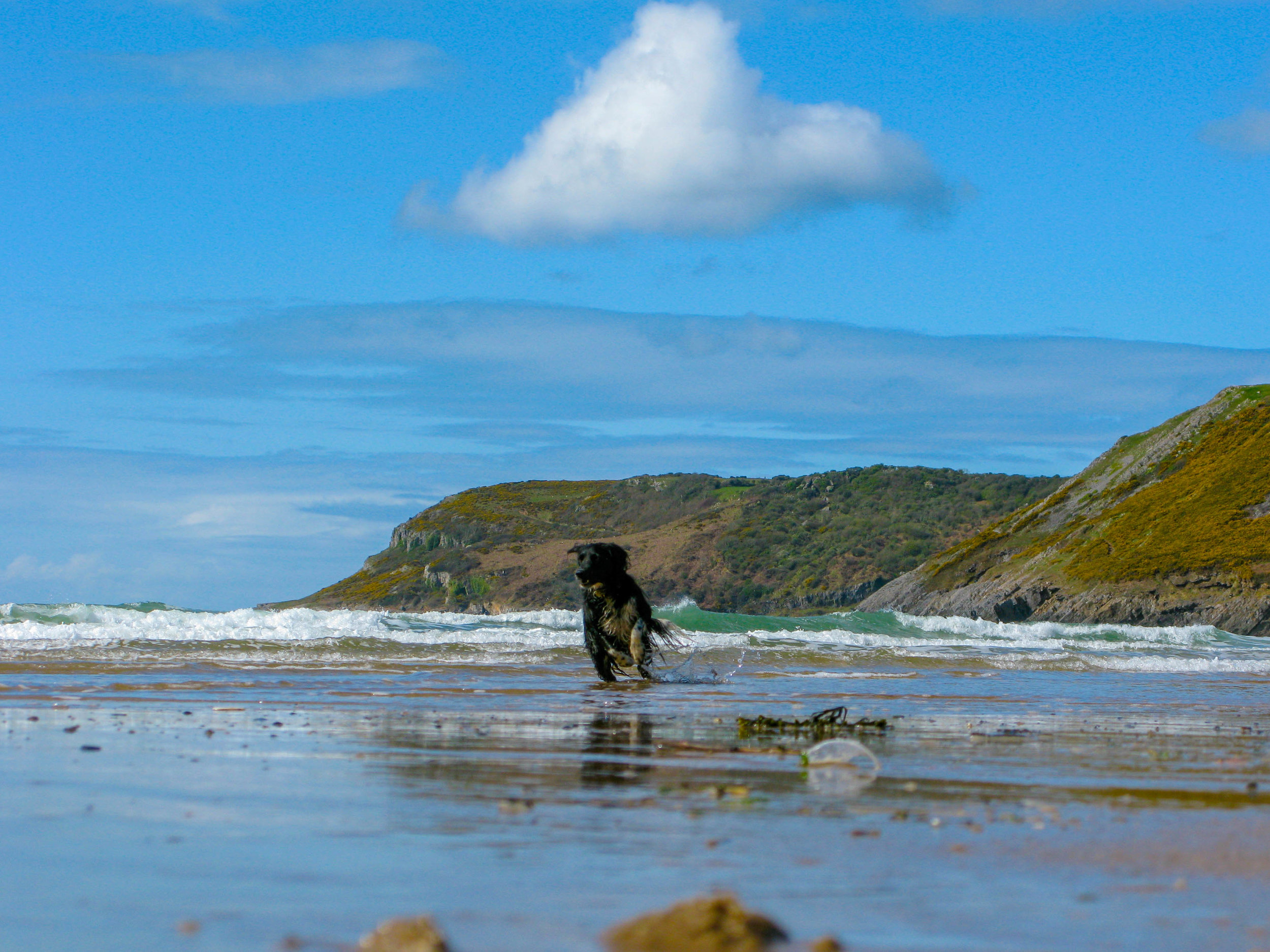 Caswell Bay