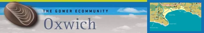 oxwichhead.jpg