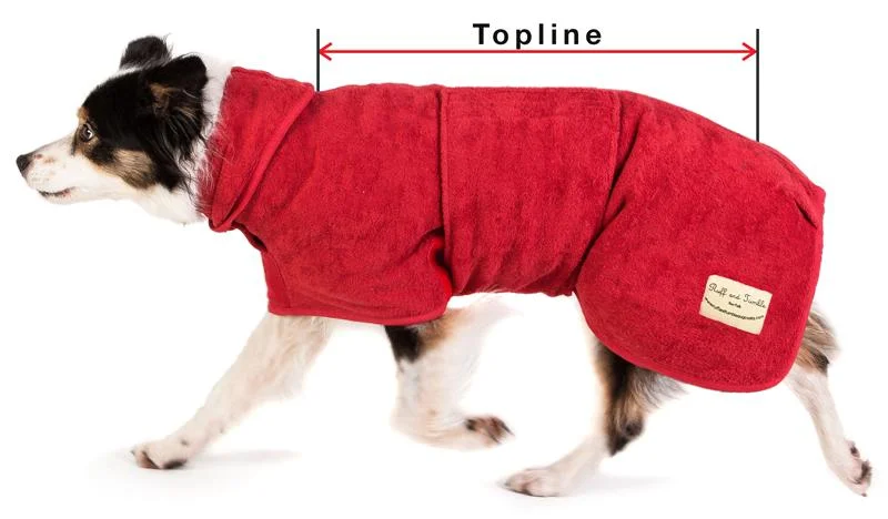 Sizing-collie_1024x1024.jpg