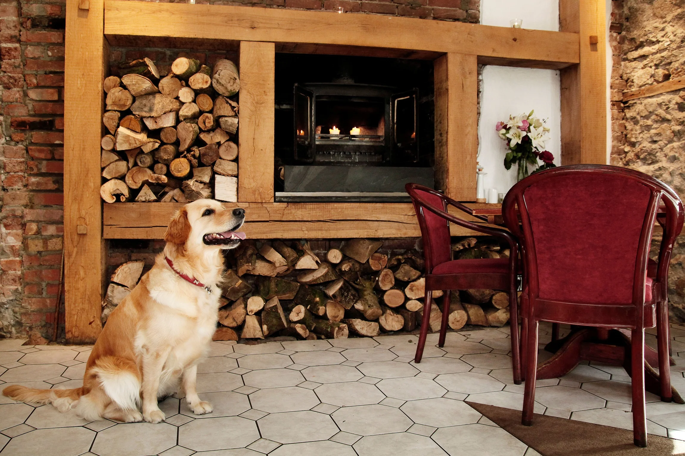 The dog-friendly bar area at the Oxwich Bay Hotel