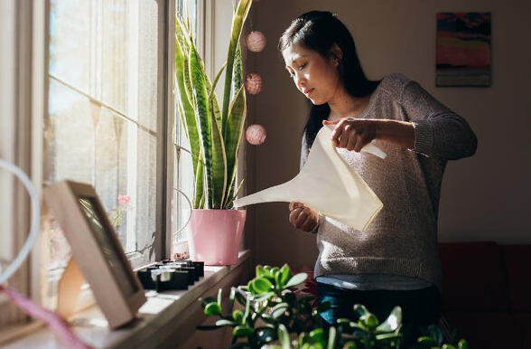 Healthy Homes 2021: Expert analysis and tips for homeowners