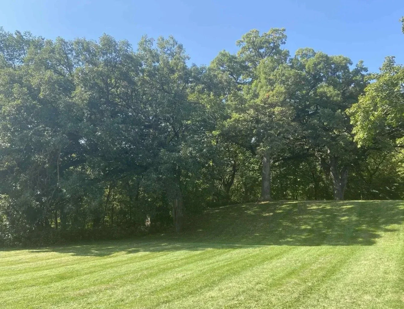 🌿 Your Slice of Nature Awaits!
📍 700 N Bluff Blvd | Clinton, IA
💲 $110,000 | 13.29 Acres of Wooded Beauty

Dreaming of space, privacy, and endless possibilities?
This 13+ acre wooded property is perfect for your dream home, a weekend getaway, or a