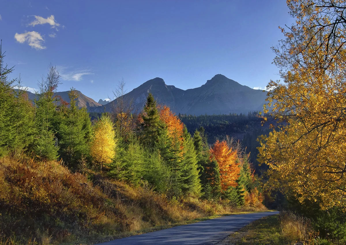 belianske-tatry-vobrazoch-pitonak-martin-015.jpg
