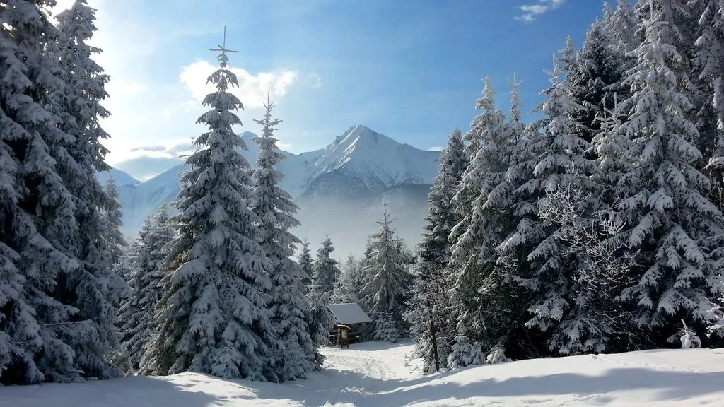 belianske-tatry-penzion-vasko-zdiar-631-015.jpg