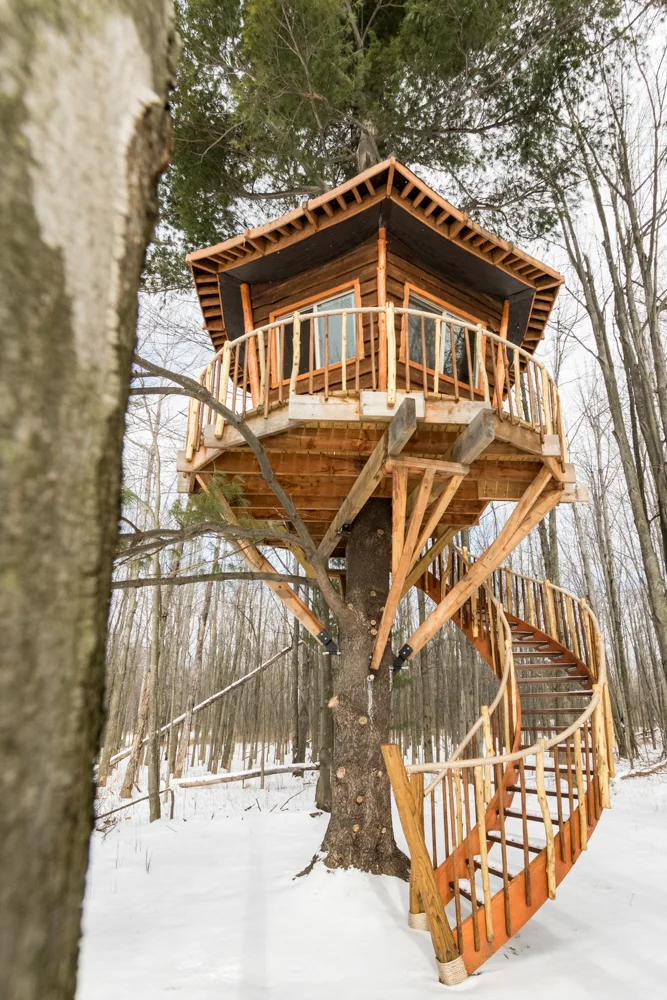 Custom treehouse with spiral staircase