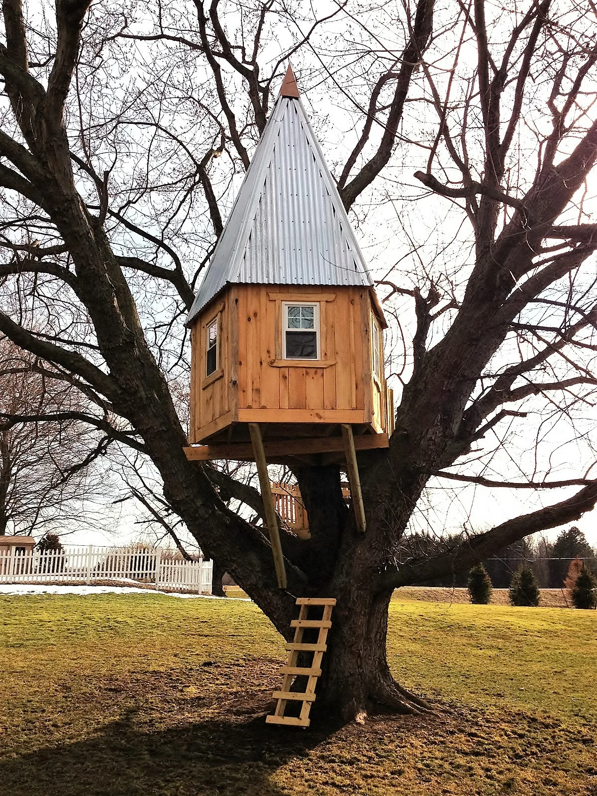 Gallery — Buffalo Treehouse