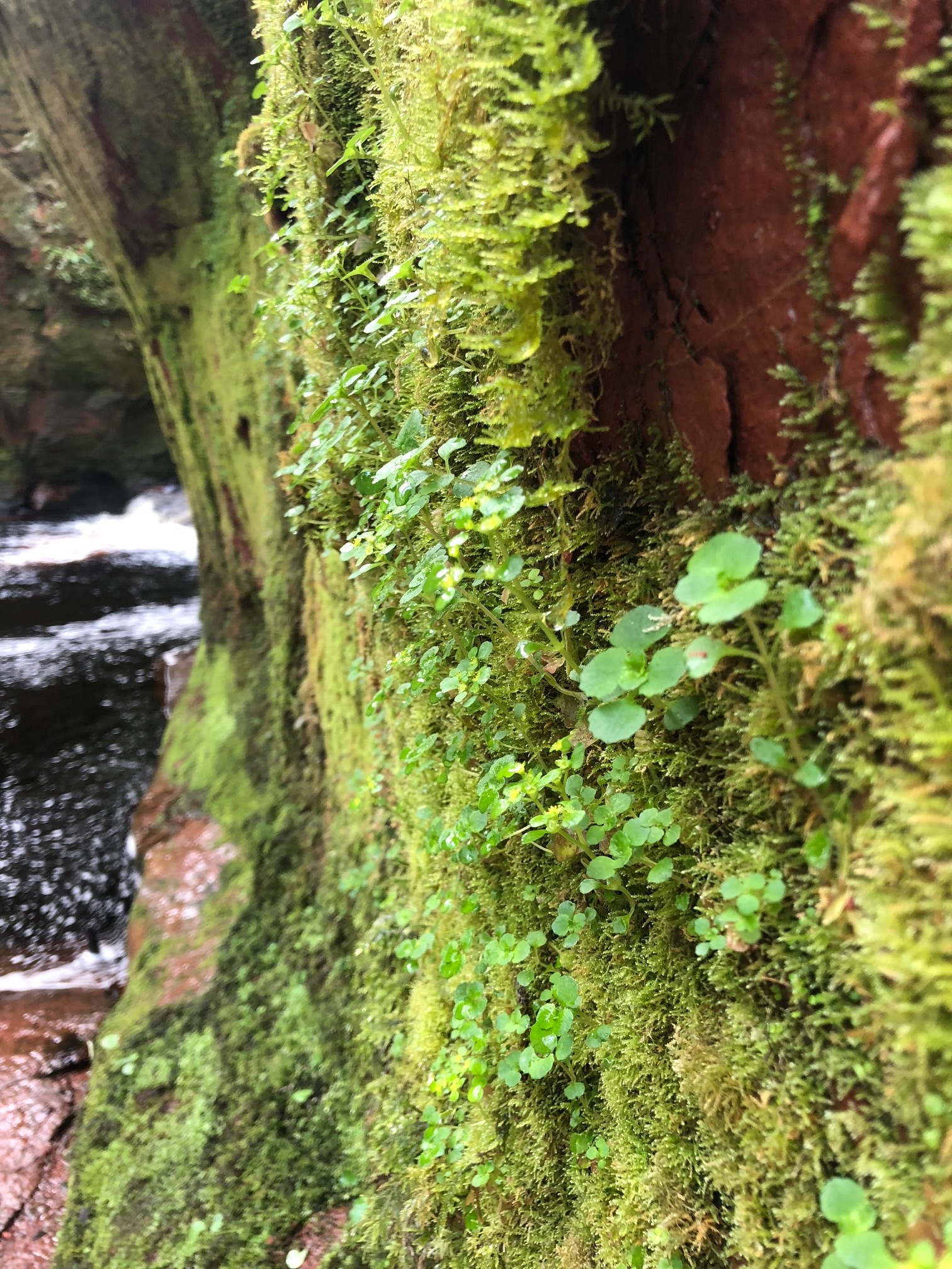 the devils pulpit - outlander film locations