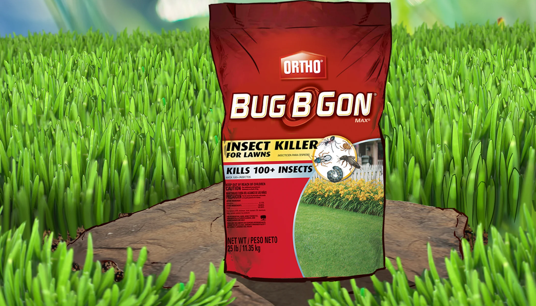 BugCartel-7.jpg