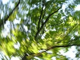 dizzy.jpeg