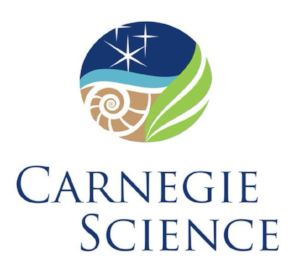 Carnegie Logo.png