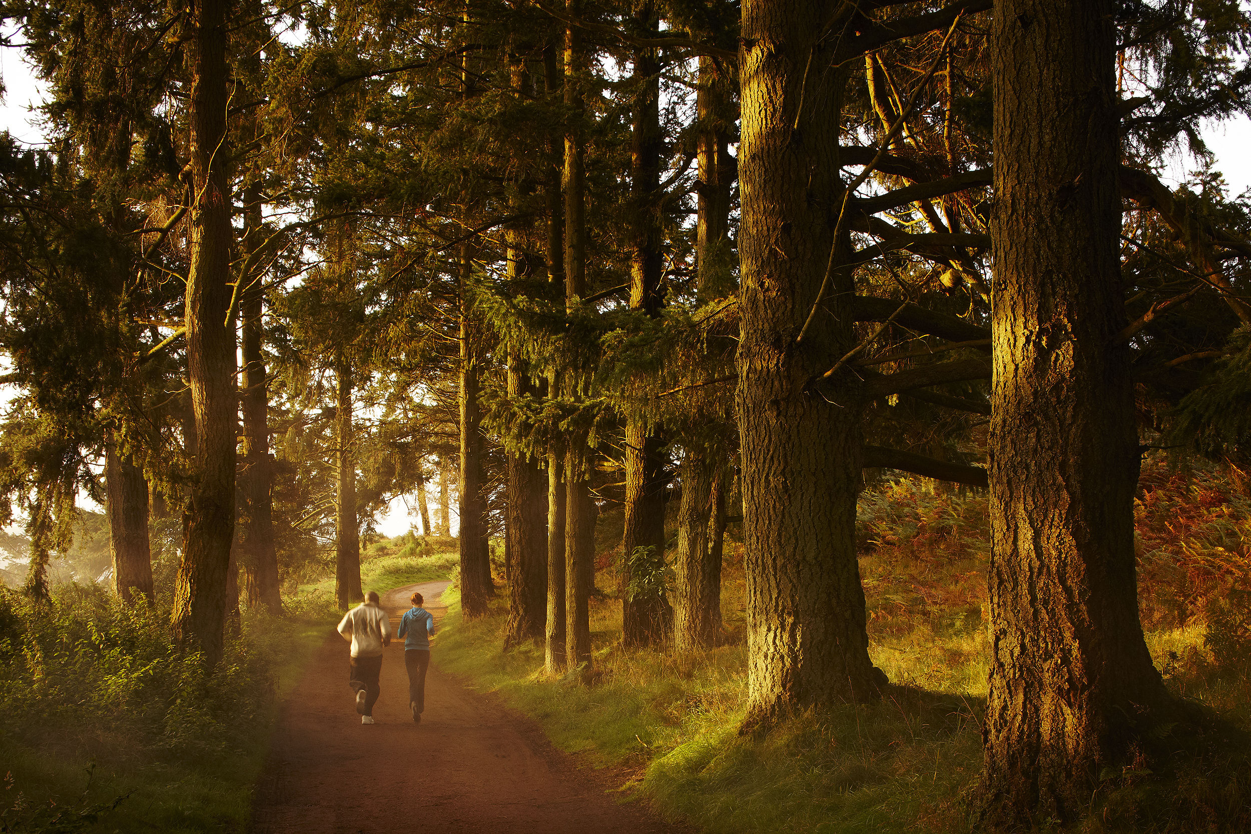 Jogging at Gleneagles, Scotland.  Travel photography by Mike Caldwell