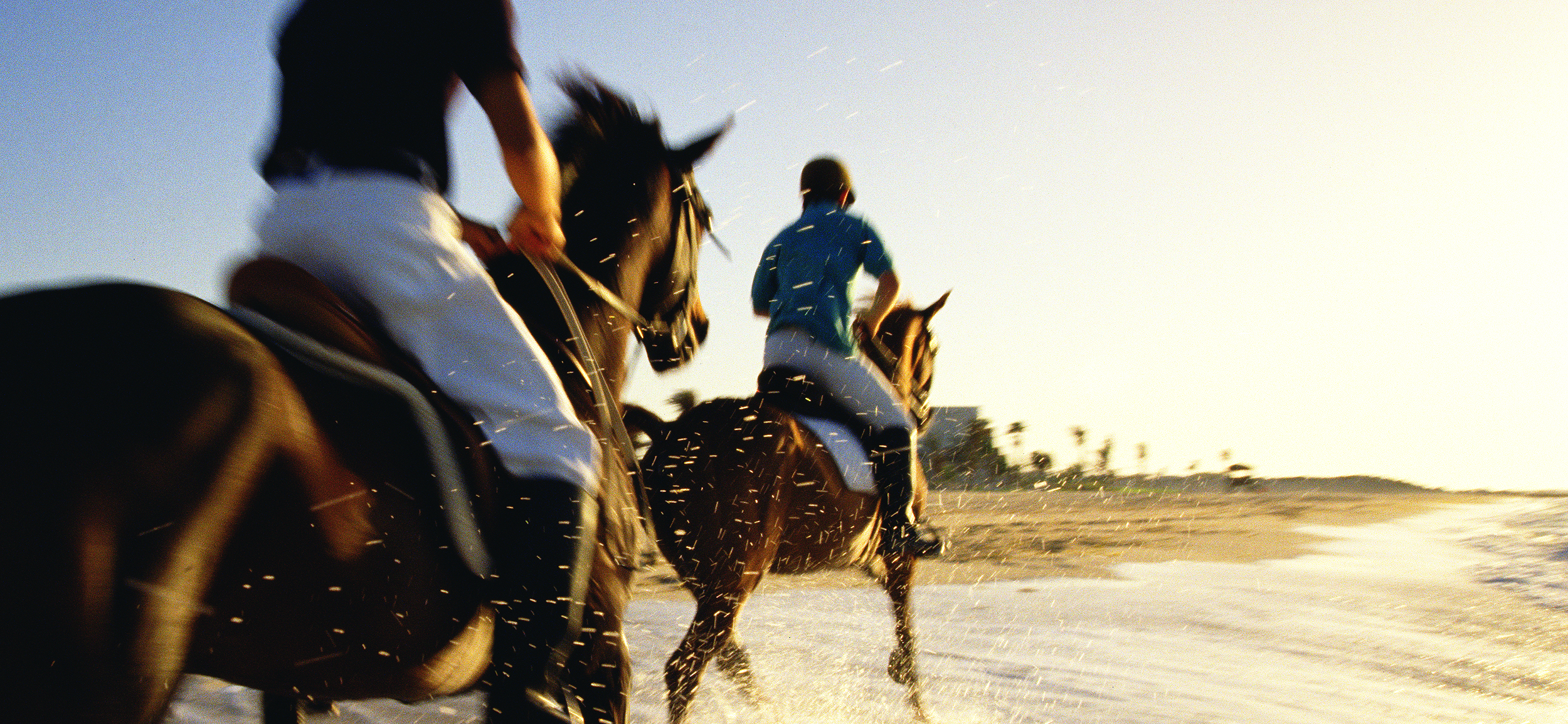 Horse riding in Dubai.  Travel photography by Mike Caldwell