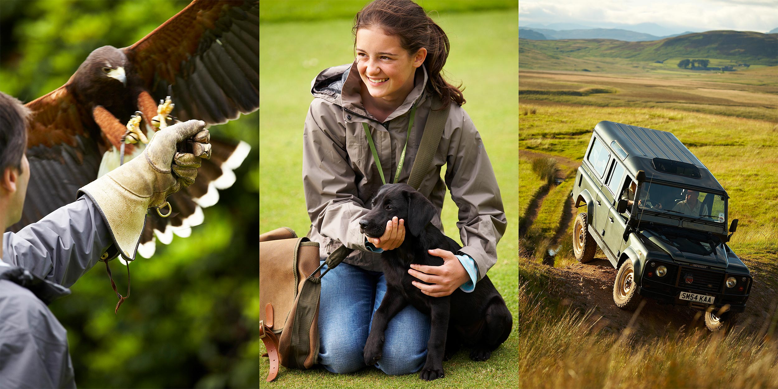 Falconry, dog-training & off-road driving at the Gleneagles hotel, Scotland.  Resort photography by Mike Caldwell