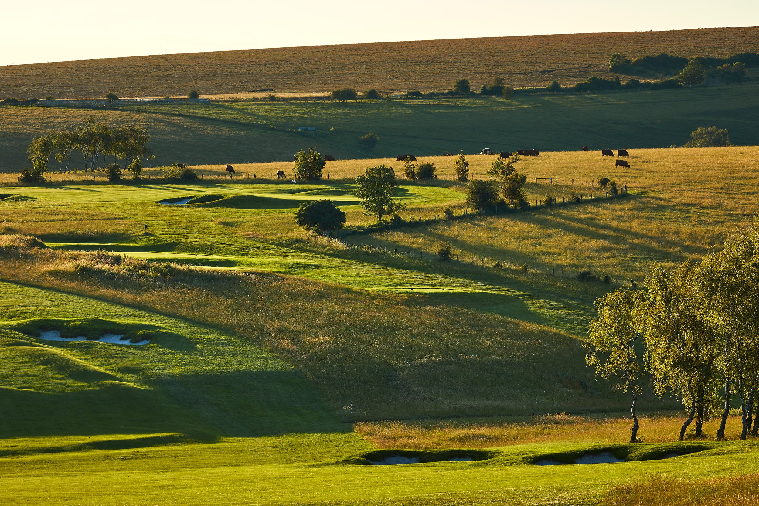 Goodwood Downs Course, Sussex, UK.  Golf course photography by Mike Caldwell