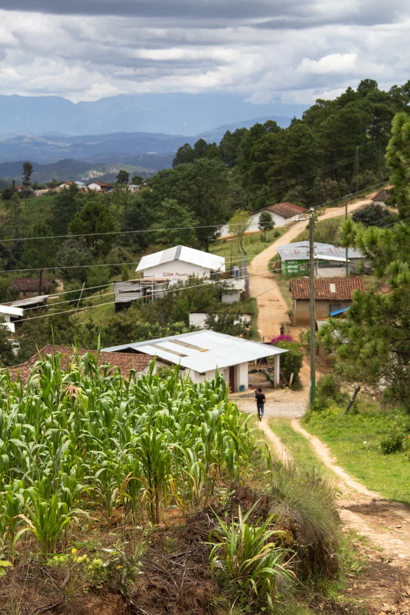 Este es Pala Grande a donde se bombearía el agua. Abajo, es posible ver un edificio de la escuela, también sin agua.