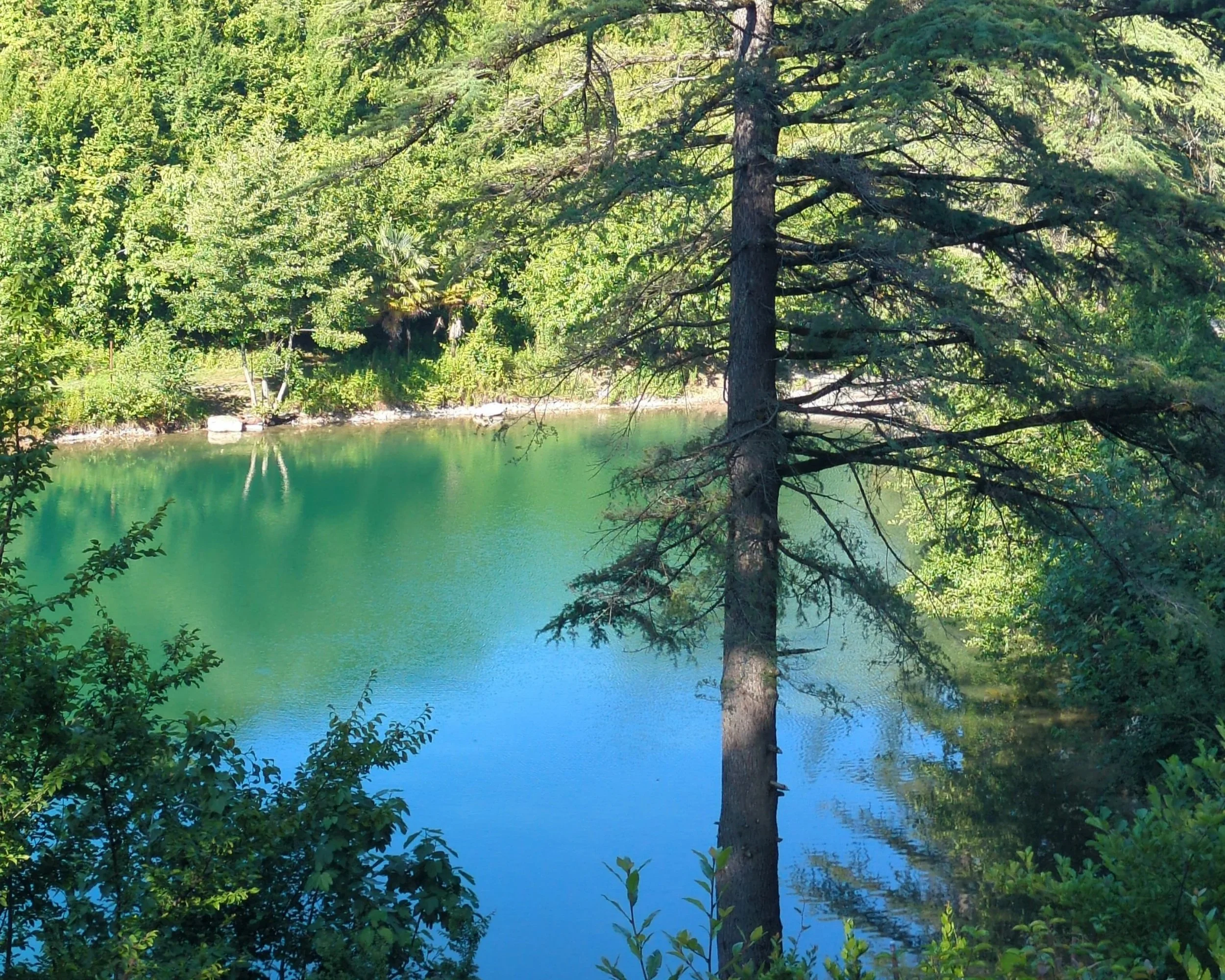 The Tale of the Drowned Priest