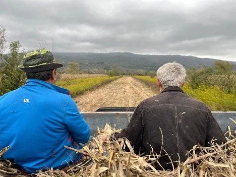 Harvest Season and Helping Hands