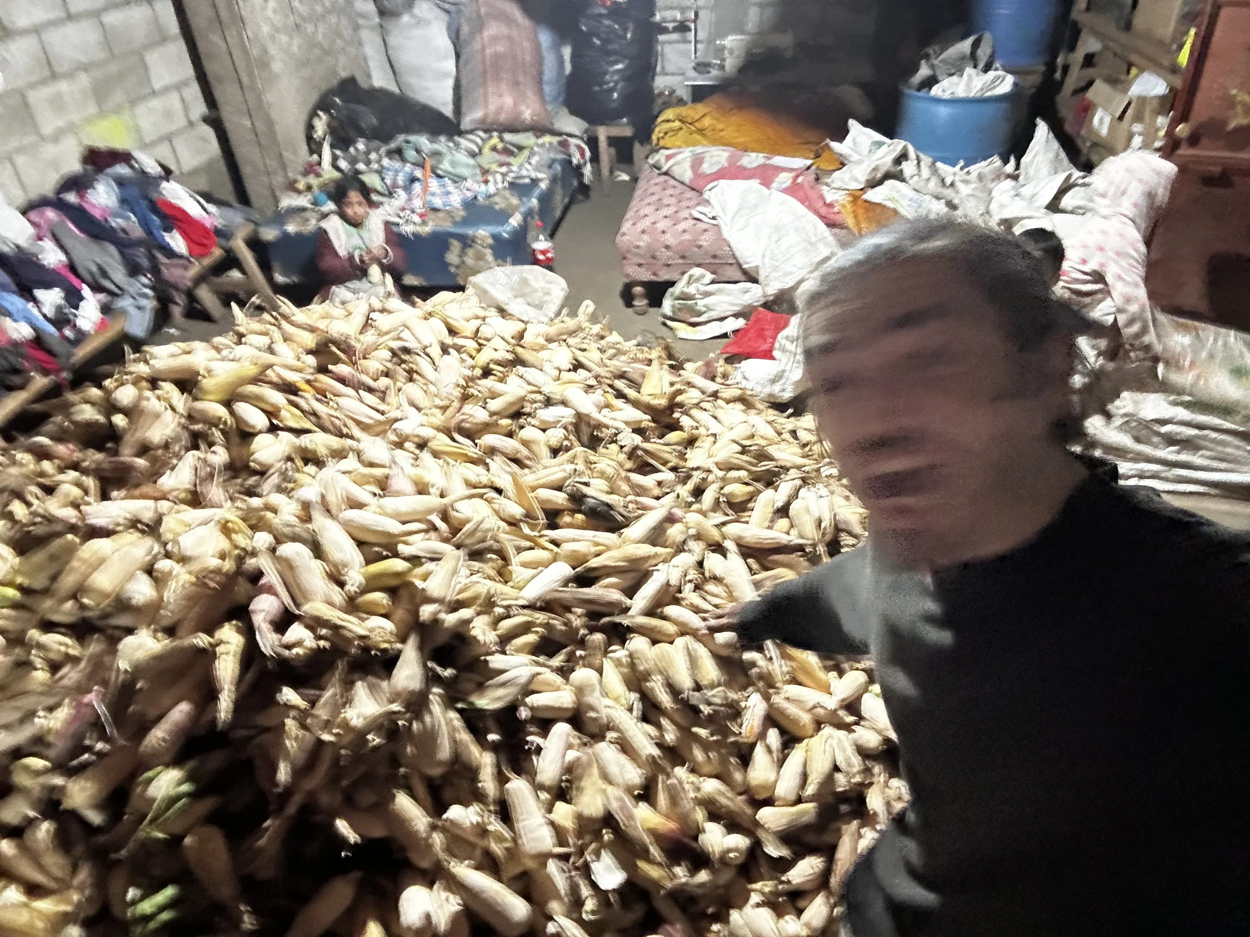 Lost in the Sauce, Dazed in the Maize