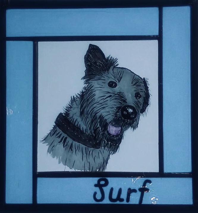 Pet Portrait