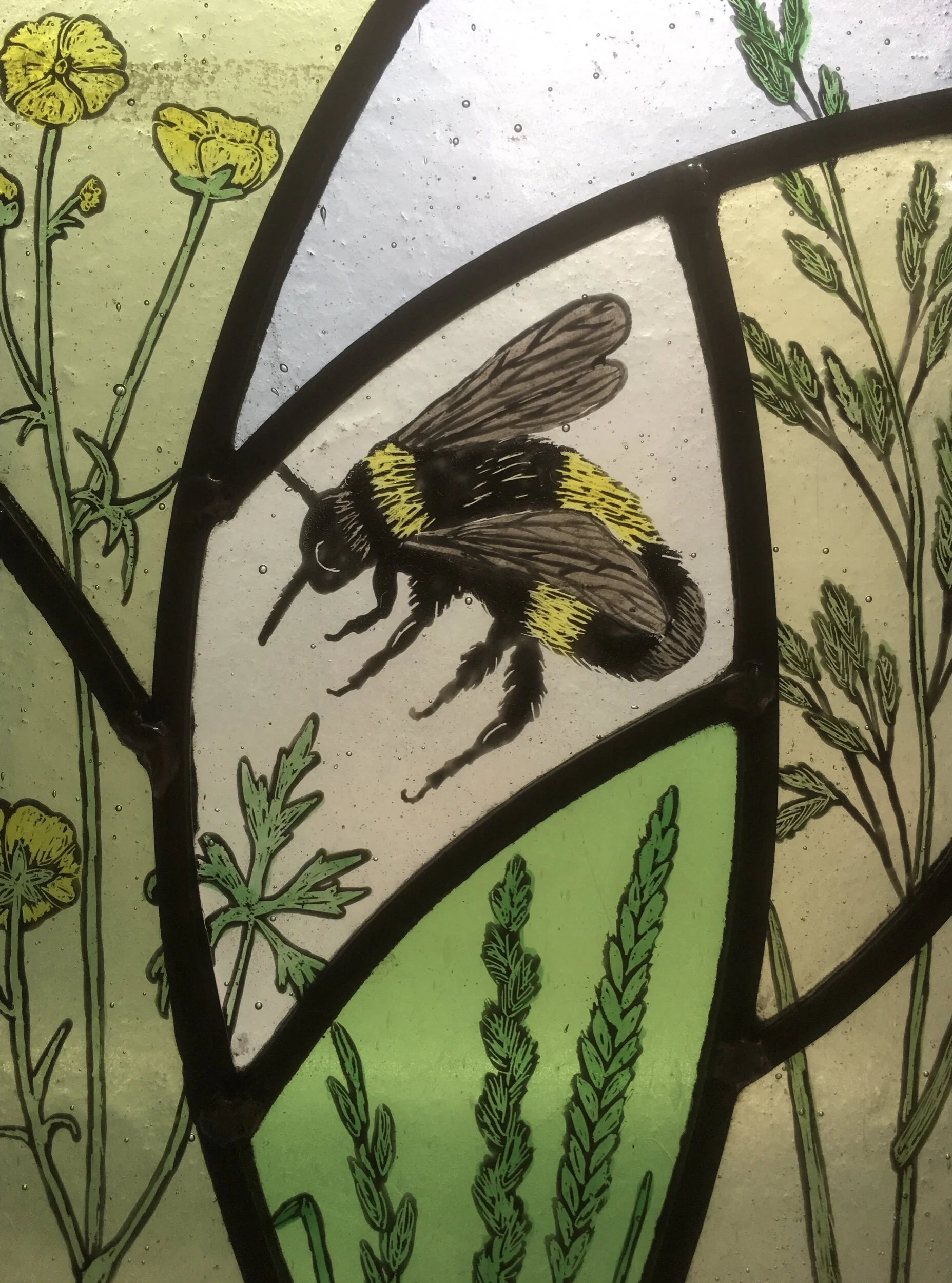 5AA975F5-E73A-4C2E-BDEF-2994C4DB4562