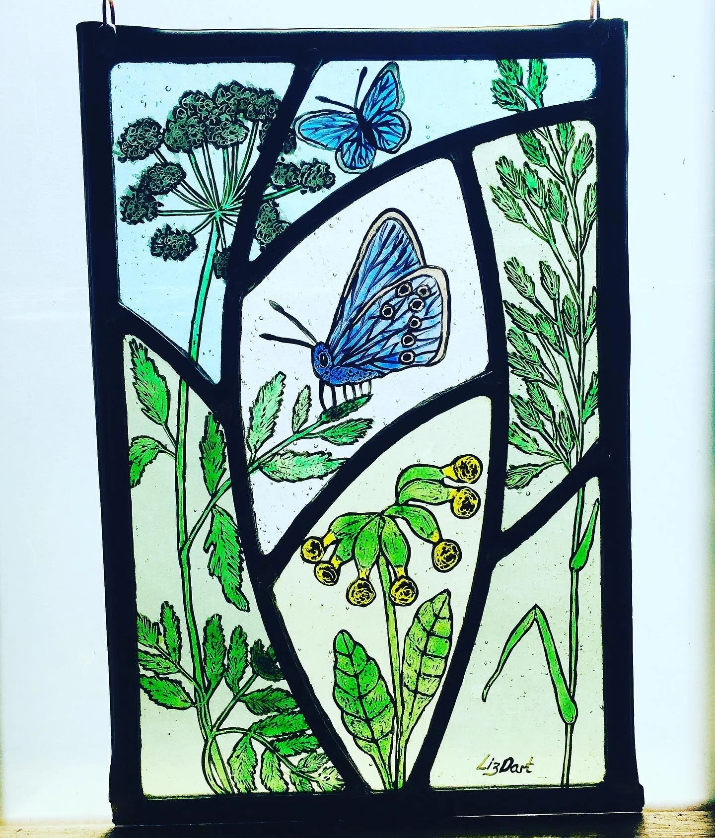 4B4D29C6-301E-4BC1-9164-AE4E6DBEE069