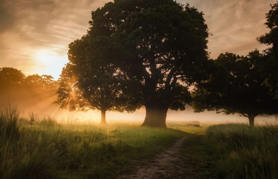 Options for Final Resting Places After Cremation Services 