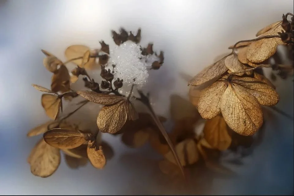 Products To Buy From Funeral Homes 