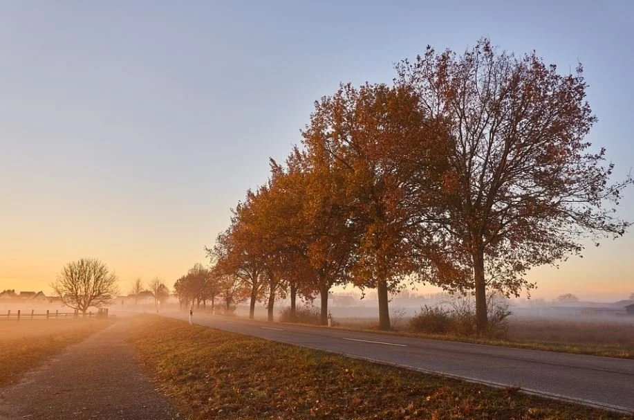 Tips On Funeral Home Eulogies 