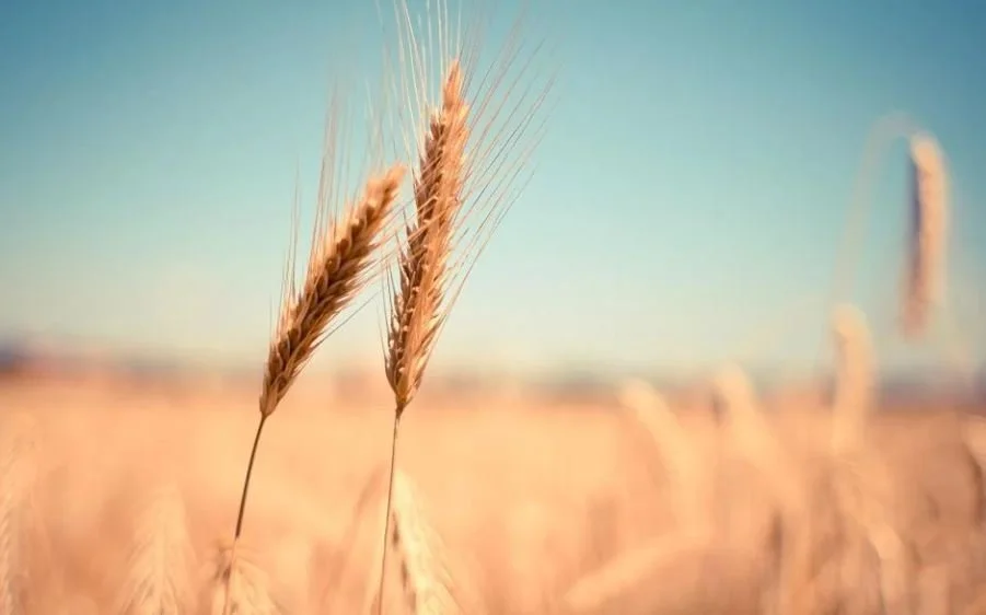 funeral homes in West Boylston, MA