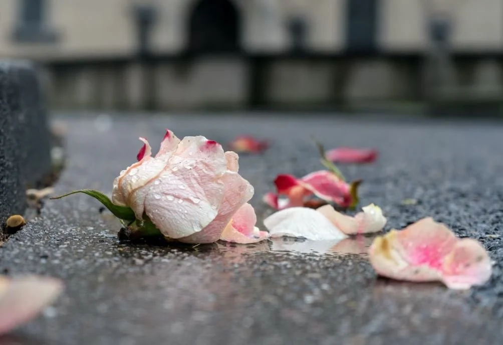 funeral homes in Auburn, MA