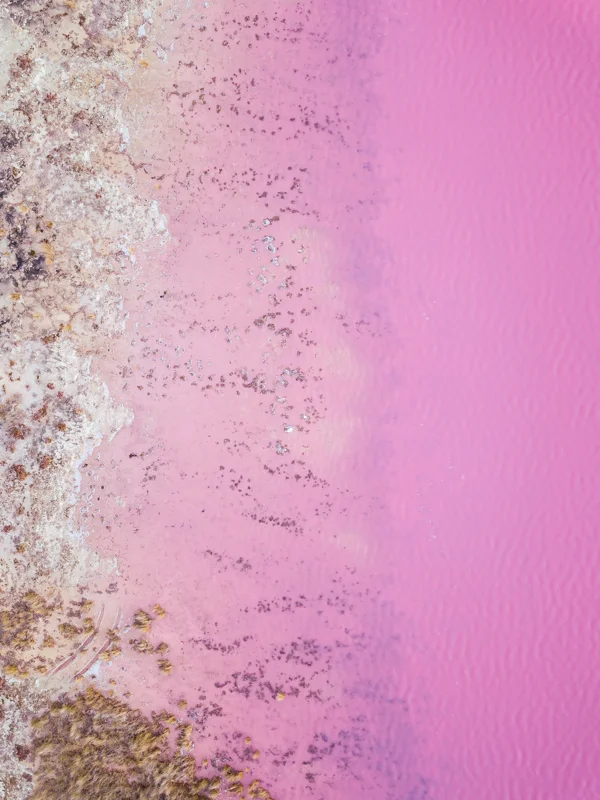 Port Gregory Pink Lake 2