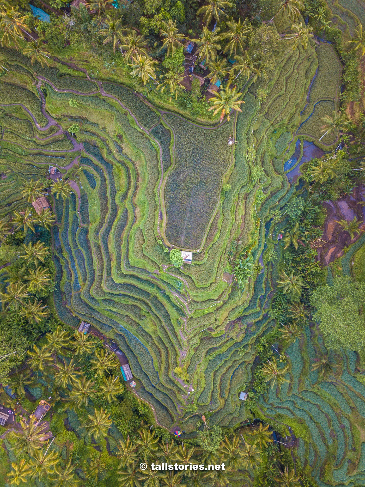DJI_0109-HDR.jpg