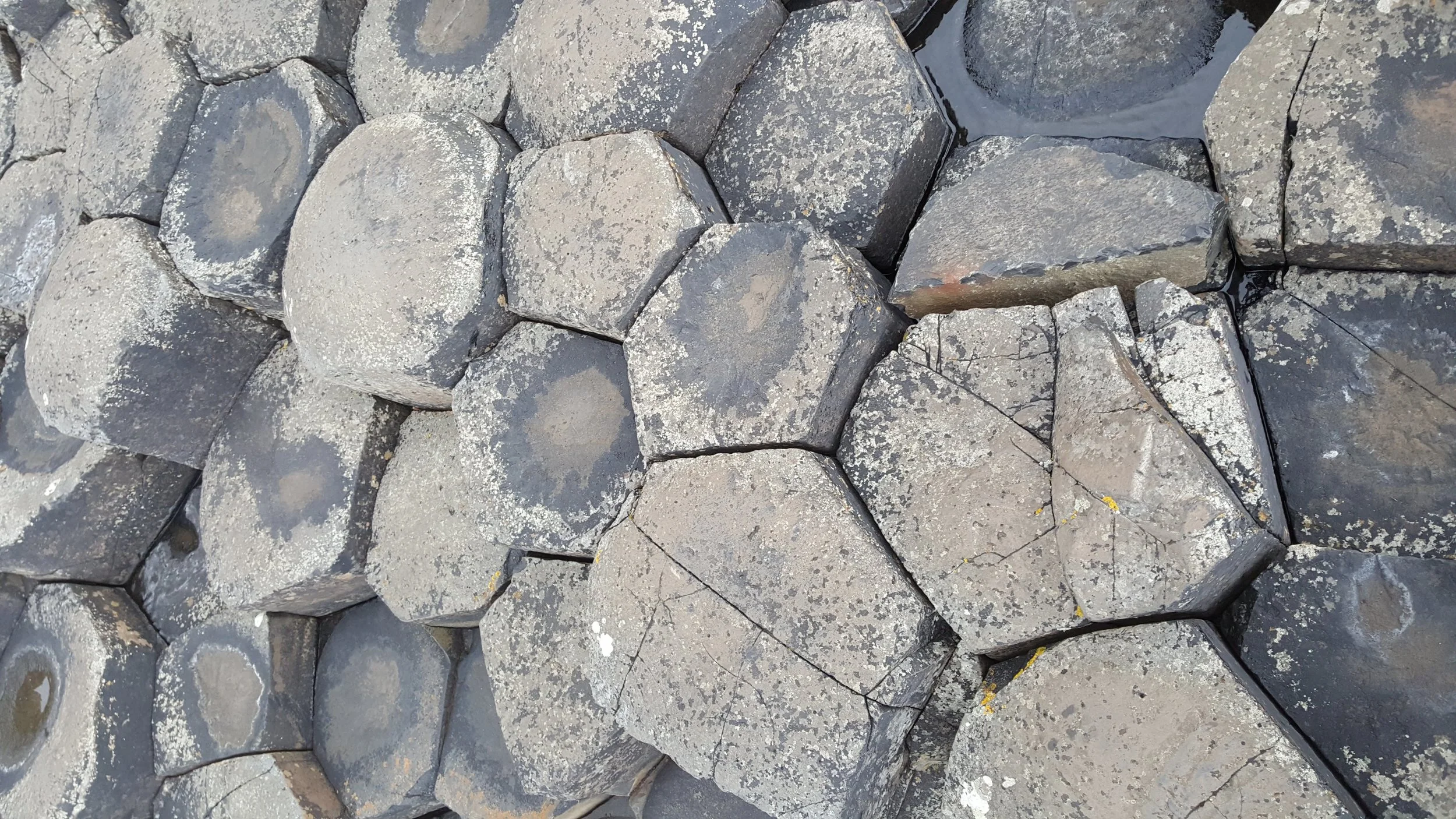 20180614_184138.jpg