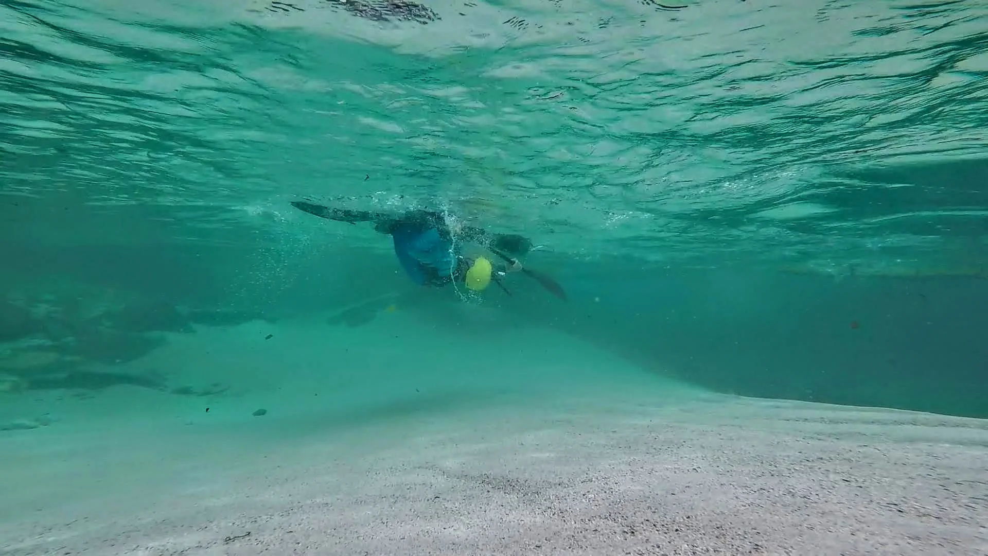 Underwater5.jpg