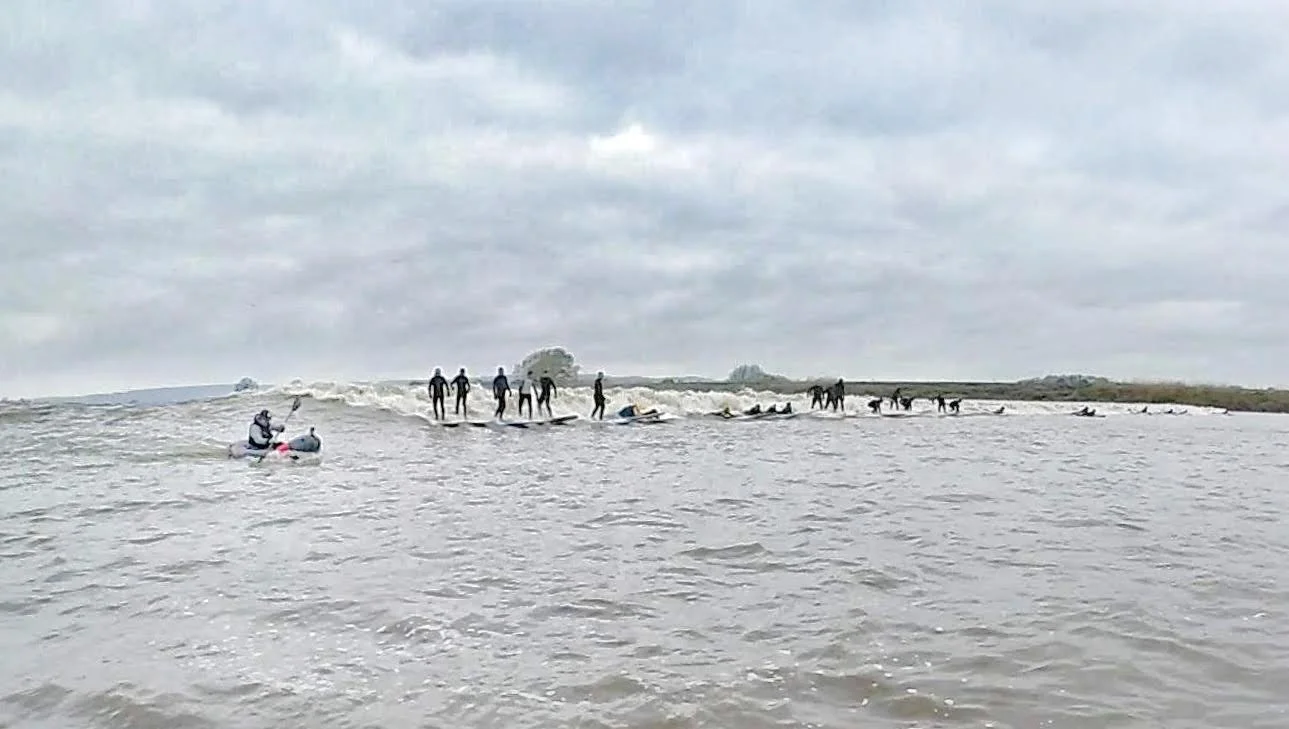 Surf4-01.jpeg