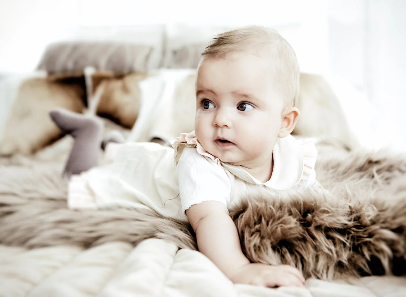 2014_12_Maxie16992.jpg
