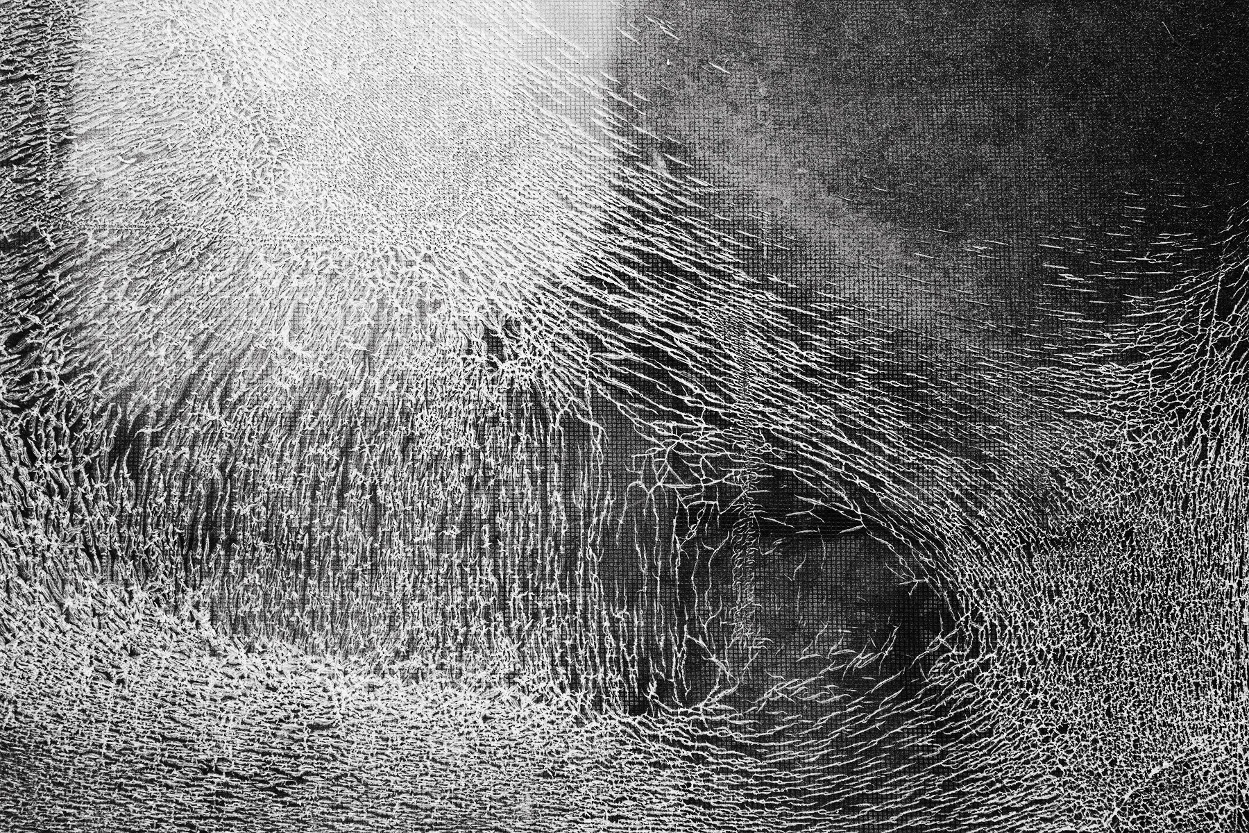 Debris_Of_A_Dream017 copy.jpg