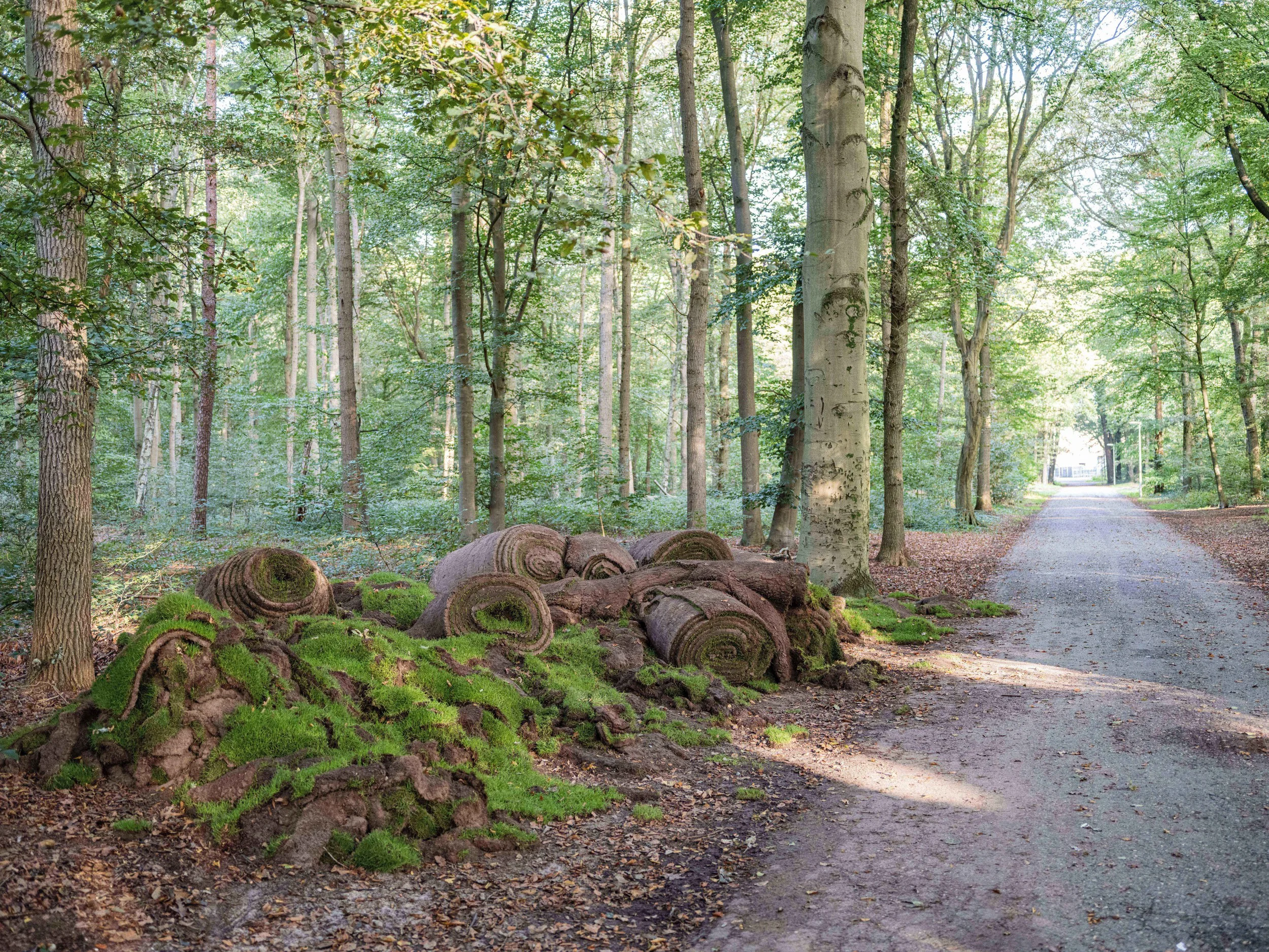 DSCF4123_1_1 copy.jpg