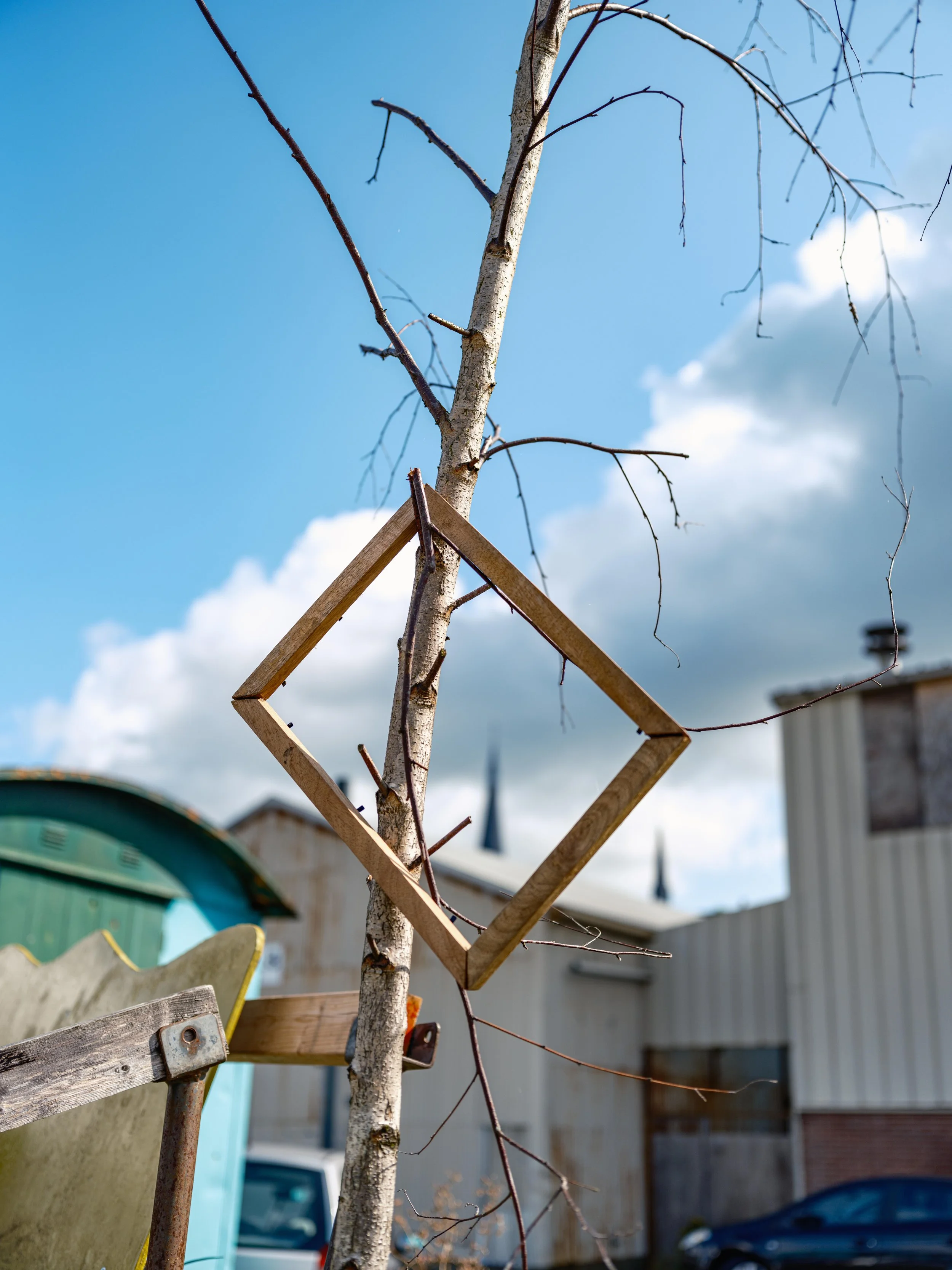 DSCF9606-1 copy 2.jpg